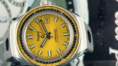 Phigied caribbean rare 42mm - caribbean,