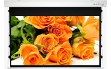 Telo per Videoproiettore
