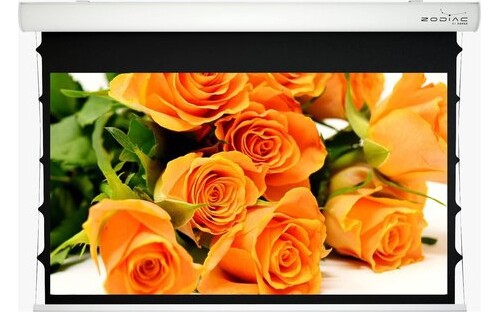 Telo per videoproiettore - telo,