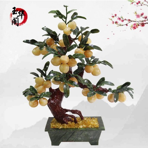 Piante vaso giada - in,