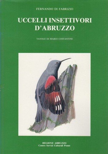 Uccelli insettivori abruzzo - uccelli, d'abruzzo