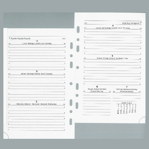 Ricambio calendario - ricambio,