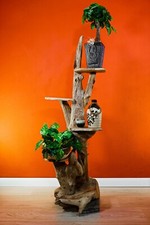 Radica Scale per Fiori