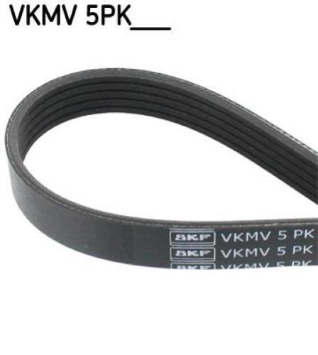 Skf cinghia fiat - cinghia, 1200