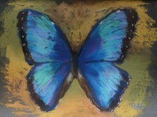 Quadro moderno farfalla blu, dipinto a mano 28x23 cm sulla carta abbrasiva. 