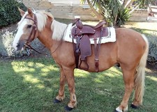 Western Leather Saddle for