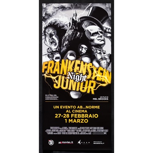 Locandina frankenstein junior - locandina,