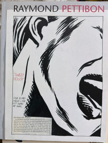 Raymond pettibon the - pettibon,