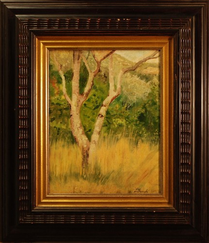 Italiano franchi albero in - albero,