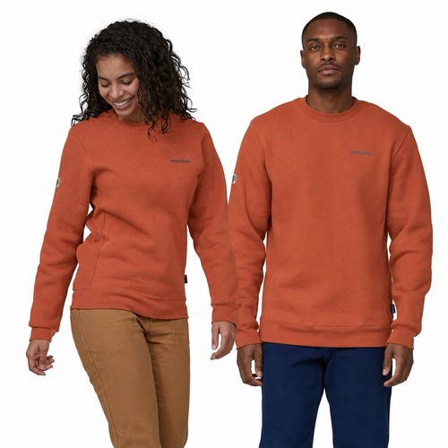 Maglione patagonia fitz roy - maglione,