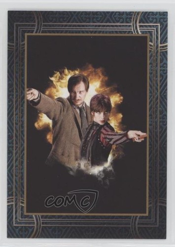 2022 panini harry potter - panini,