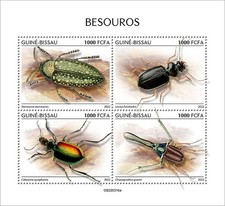 Coleotteri