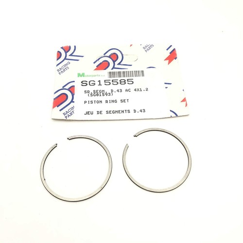 Coppia fasce elastiche - coppia, x