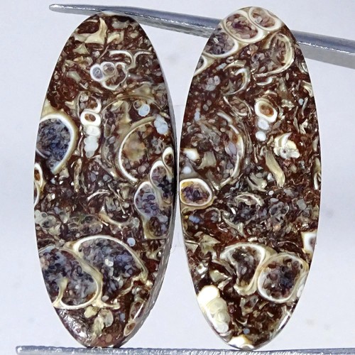 Coppia cabochon - 24,60, ct.