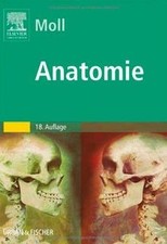Anatomie: Kurzlehrbuch zum