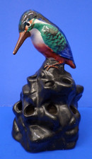 Raro uccellino rana fiore