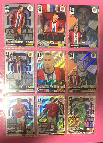Panini adrenalyn fifa wc - panini,