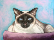 Gatto siamese dipinto