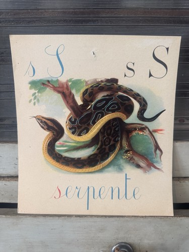 Tavola didattica vintage - tavola,