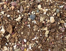 Terriccio professionale per piante grasse da interno (cactus - succulente)