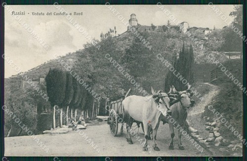 Perugia assisi carro buoi - perugia,
