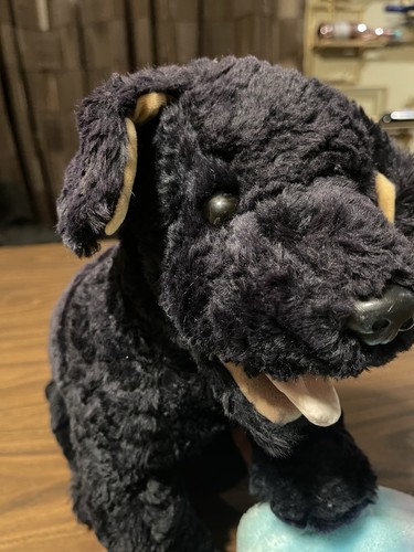 Peluche cane barboncino