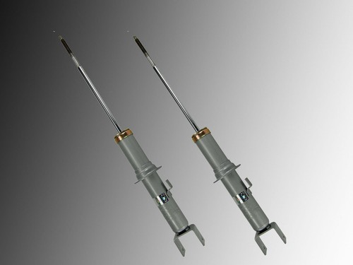 Ammortizzatori posteriori - 2,