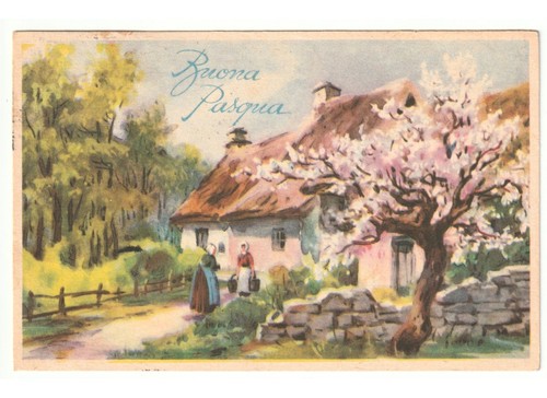 Primavera pesco fiore - in, casa