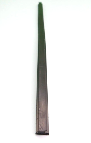 Awitalia calamita magnetica - calamita,