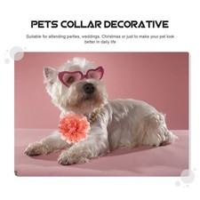 20 Pcs Articoli Per Animali