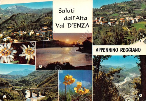 Cartolina ramiseto vetto fiume - ramiseto,