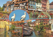 D081460 Un Bonjour de Colmar