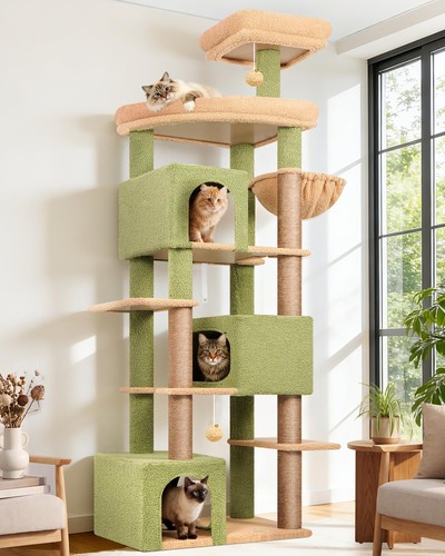 Tiragraffi per gatti cactus - gatti,