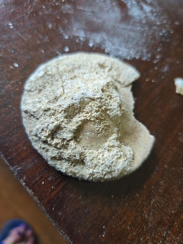 Fossil 520