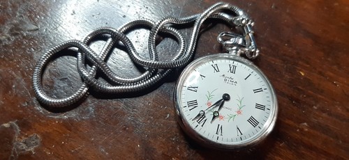 Orologio tasca pocket watch - orologio, tasca-pocket