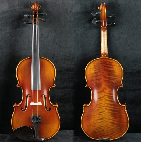 Raro violino master fatto - violino,