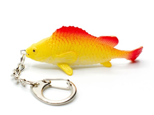 Carpa pesce portachiavi - carpa,