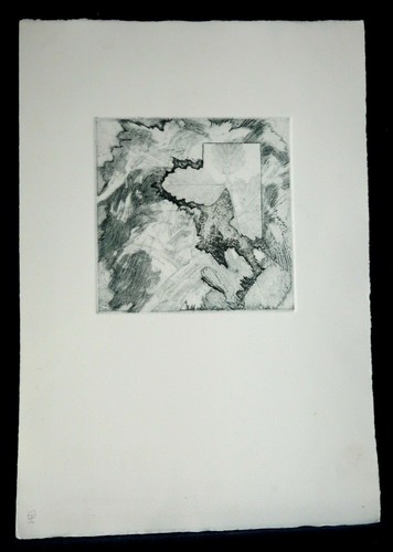 Quadro disegno calcografico - quadro,