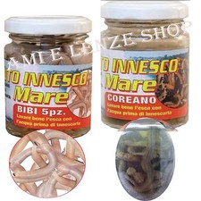 Esche Pesca Surfcasting Bibi Koreano Coreano Mare Esca Orata Spigola Mormora 