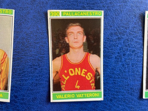 Panini campioni dello sport - campioni,