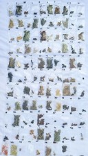 Rare Magico 108 Erbe Set Detto