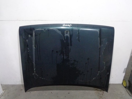 55295753 cofano verde - /,