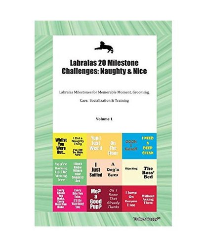 Labralas milestone - labralas,