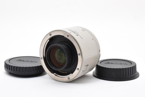 Eccellente canon - 【eccellente】,
