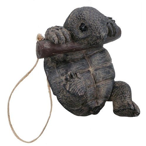 Tartaruga arrampicata - da,