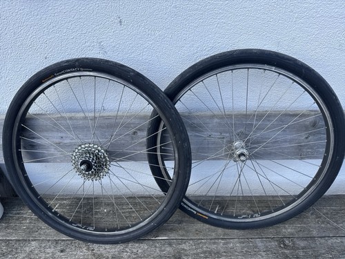 Fir campagnolo retrò mountain - fir,