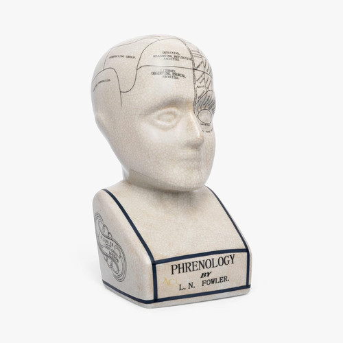 Acl phrenology head - phrenology, –