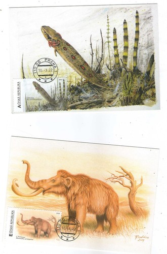 Repubblica ceca animali - -,