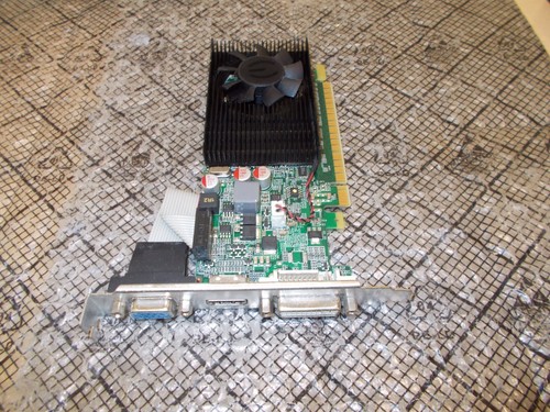 Scheda video evga nvidia - evga,