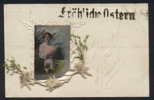 Cartolina fiori secchi